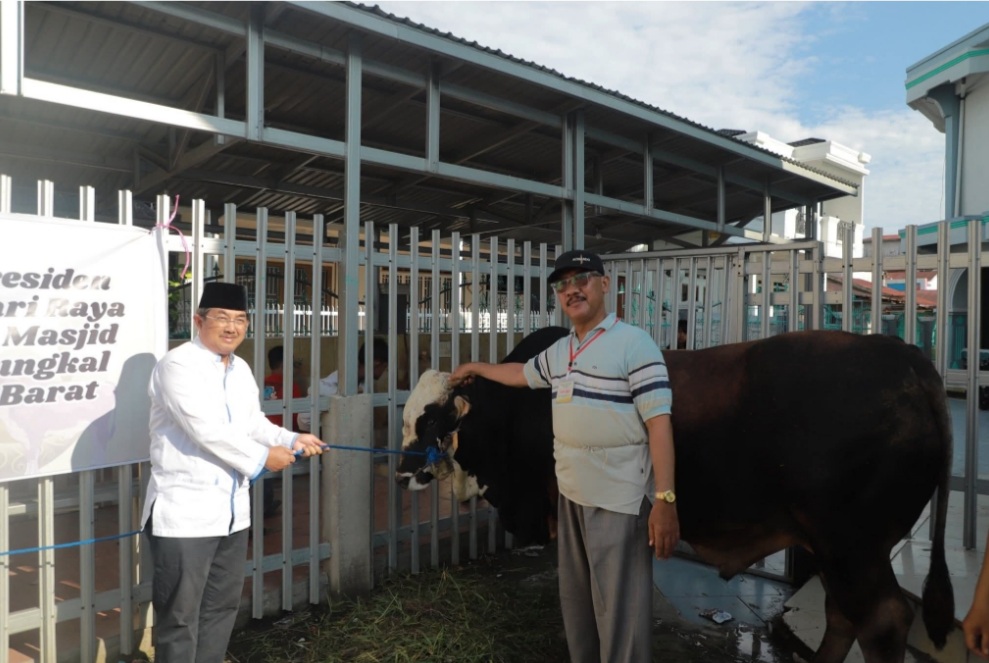 Bupati Anwar Sadat Serahkan Bantuan Sapi Kurban Presiden RI